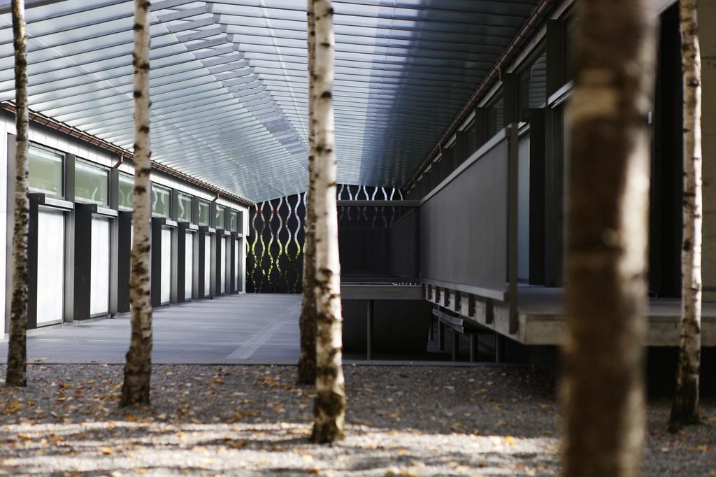 Greulich Design & Boutique Hotel Zurique Exterior foto