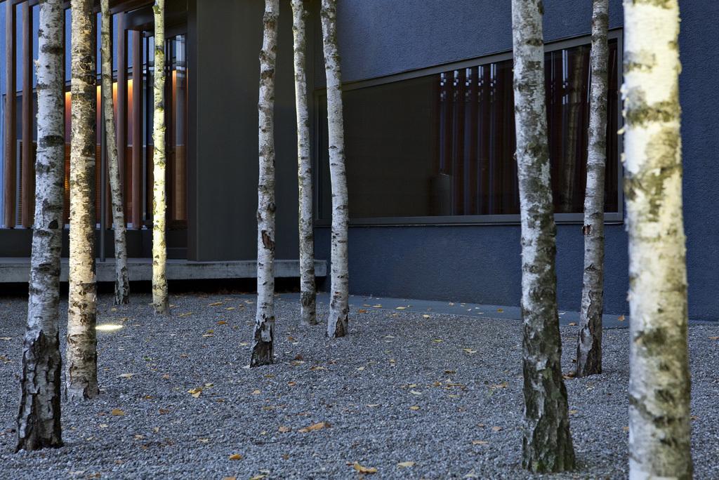 Greulich Design & Boutique Hotel Zurique Exterior foto